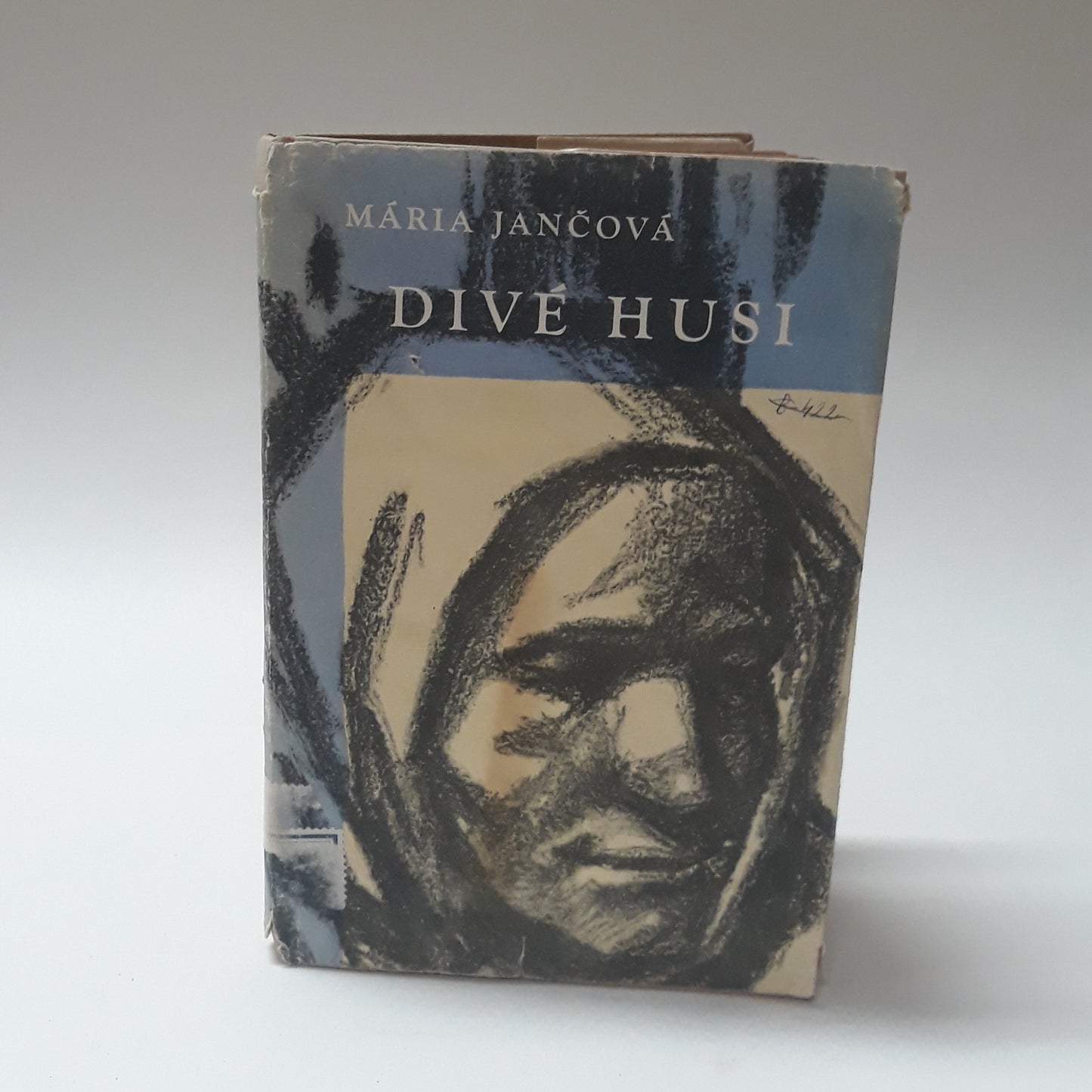 Divé husi