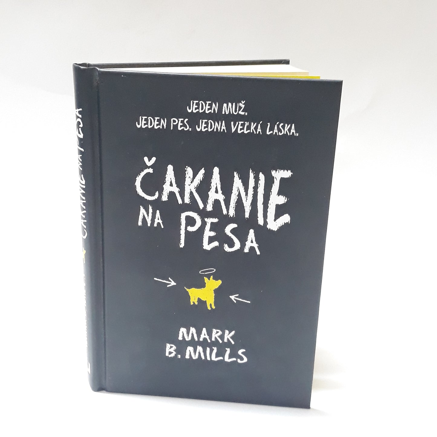 Čakanie na Pesa