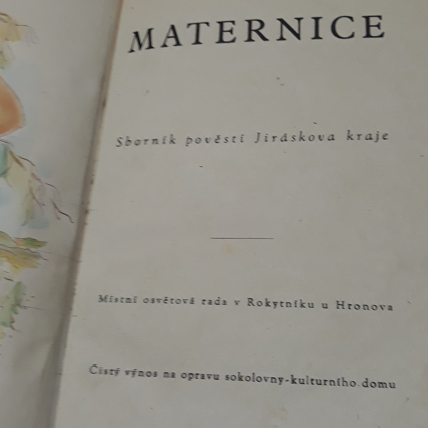 Maternice