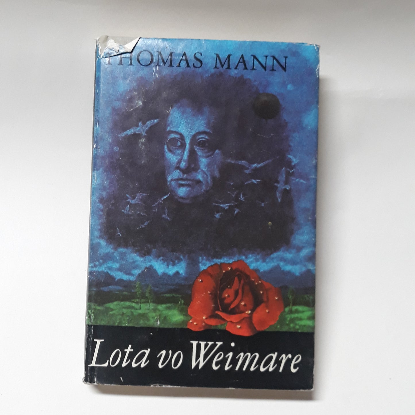 Lota vo Weimare
