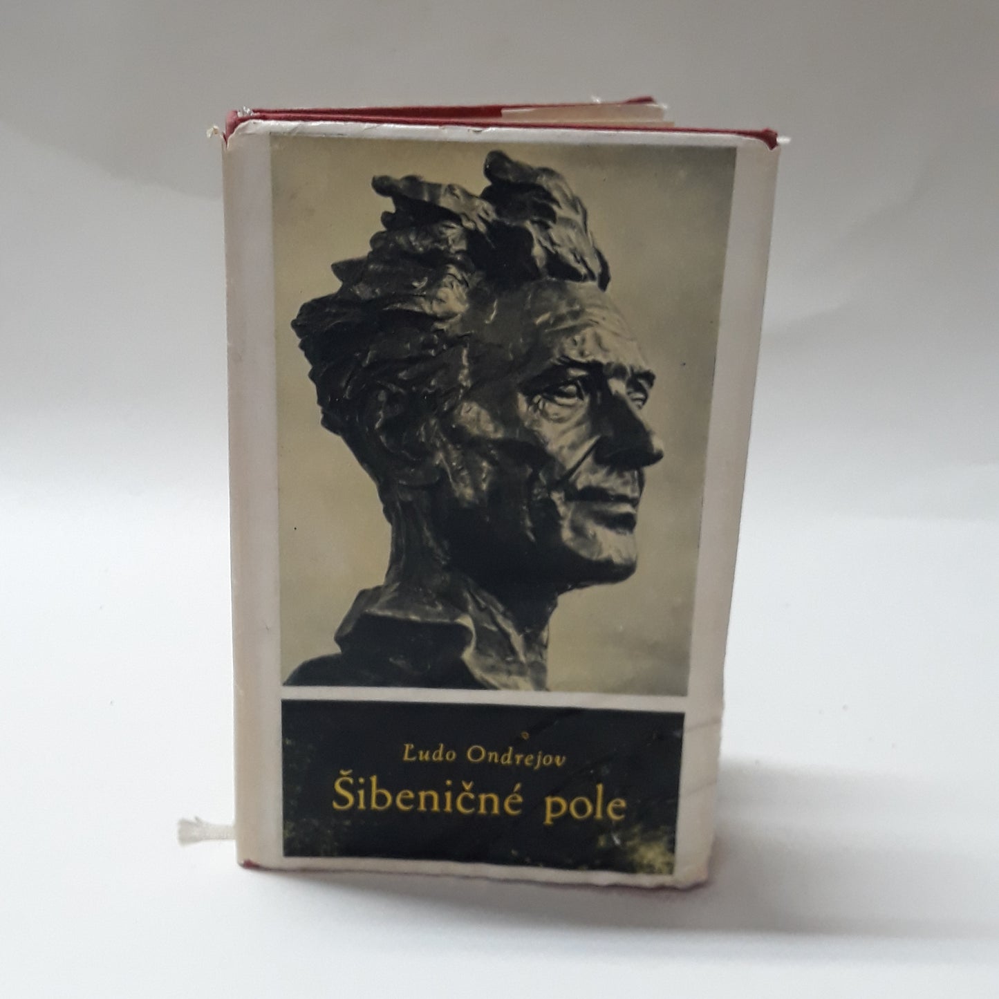 Šibeničné pole