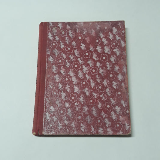 Za svetlom a so svetlom