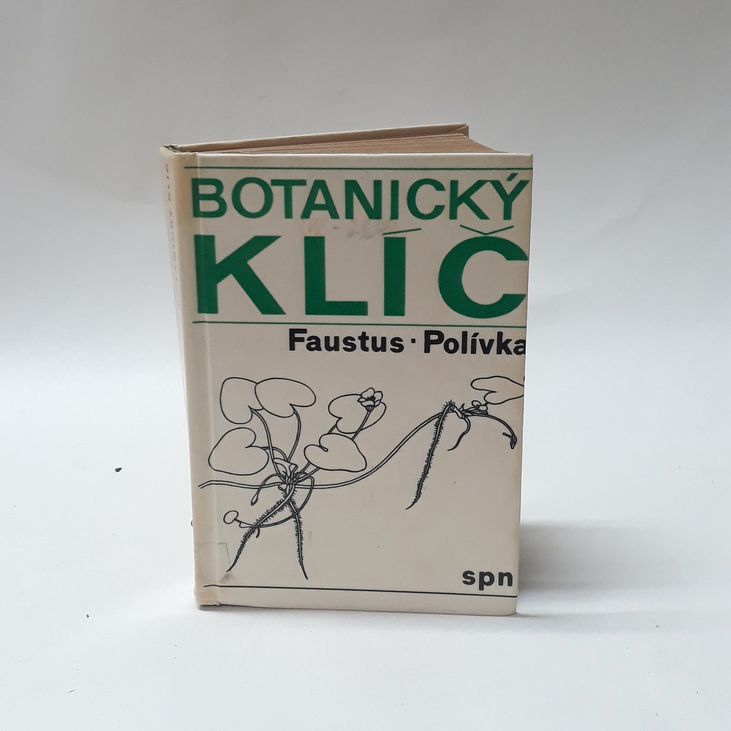 Botanický klíč