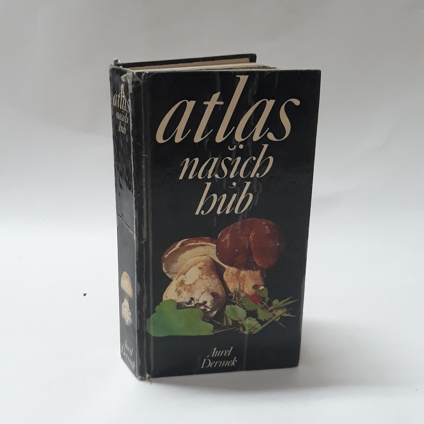 Atlas našich húb