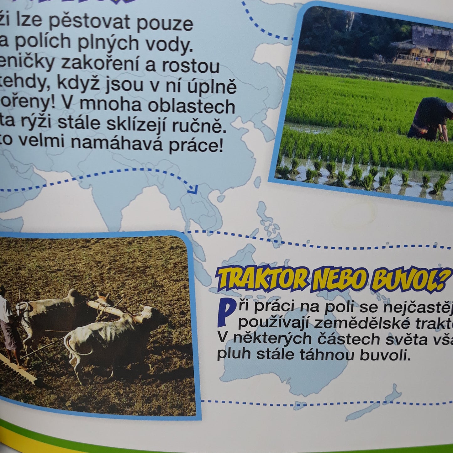 Šmoulové Farmář