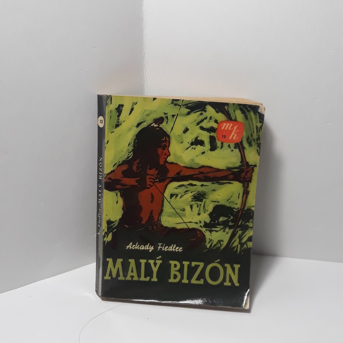 Malý Bizón