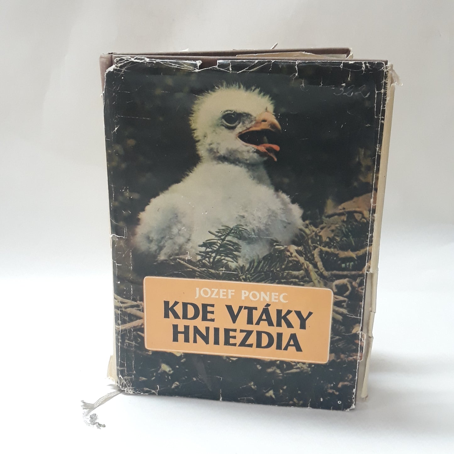Kde vtáky hniezdia