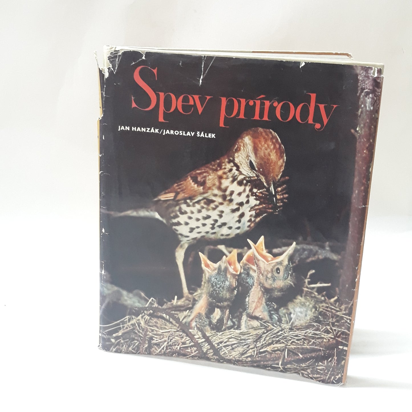 Spev prírody