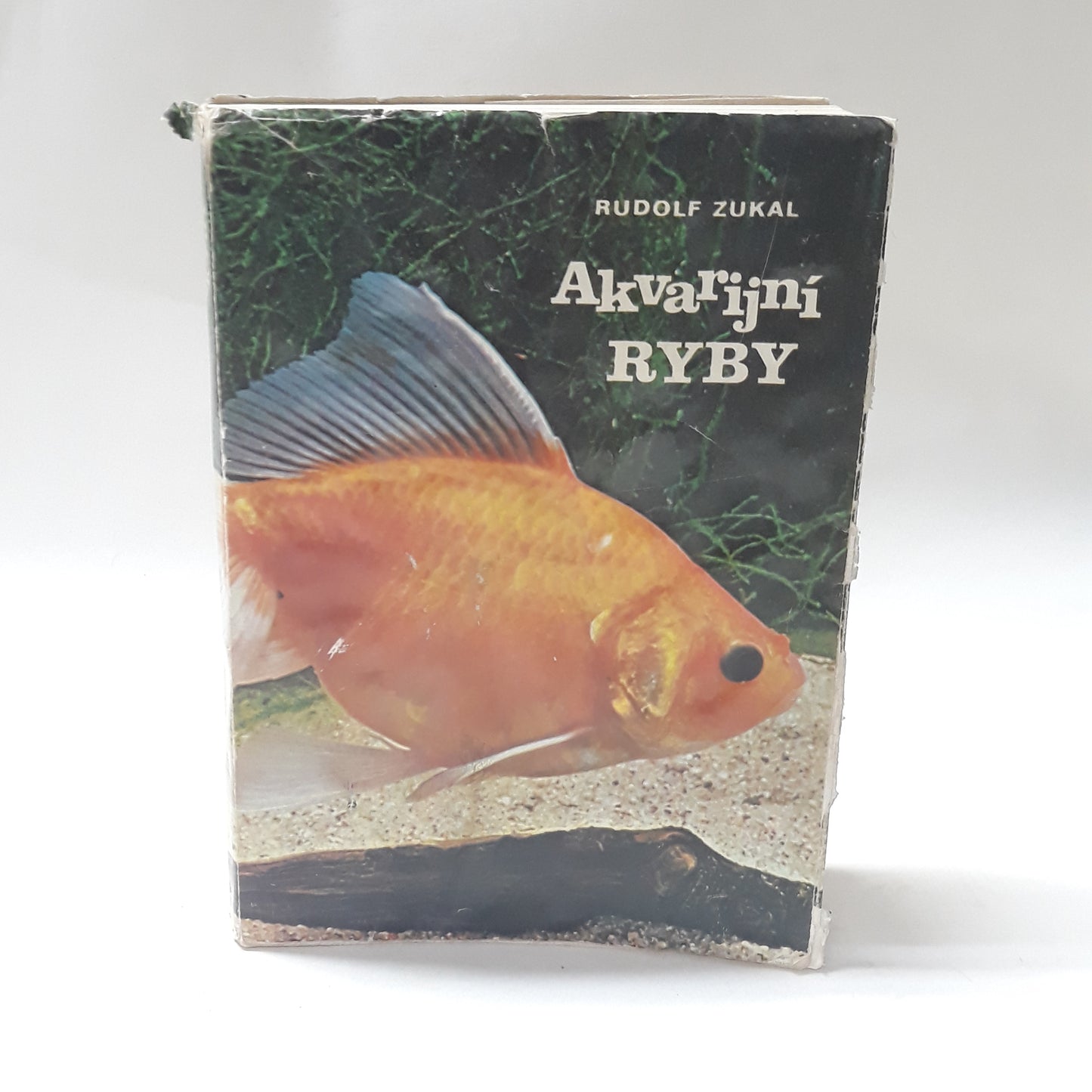 Akvarijní ryby