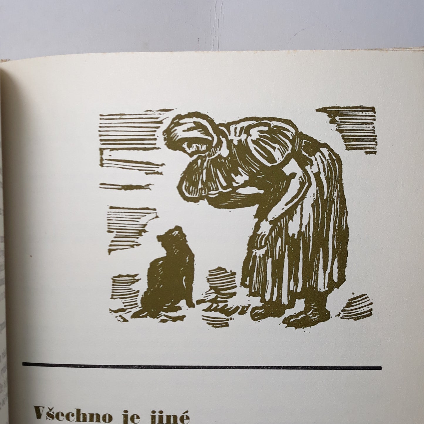 O Janíčkovi Malérečkovi