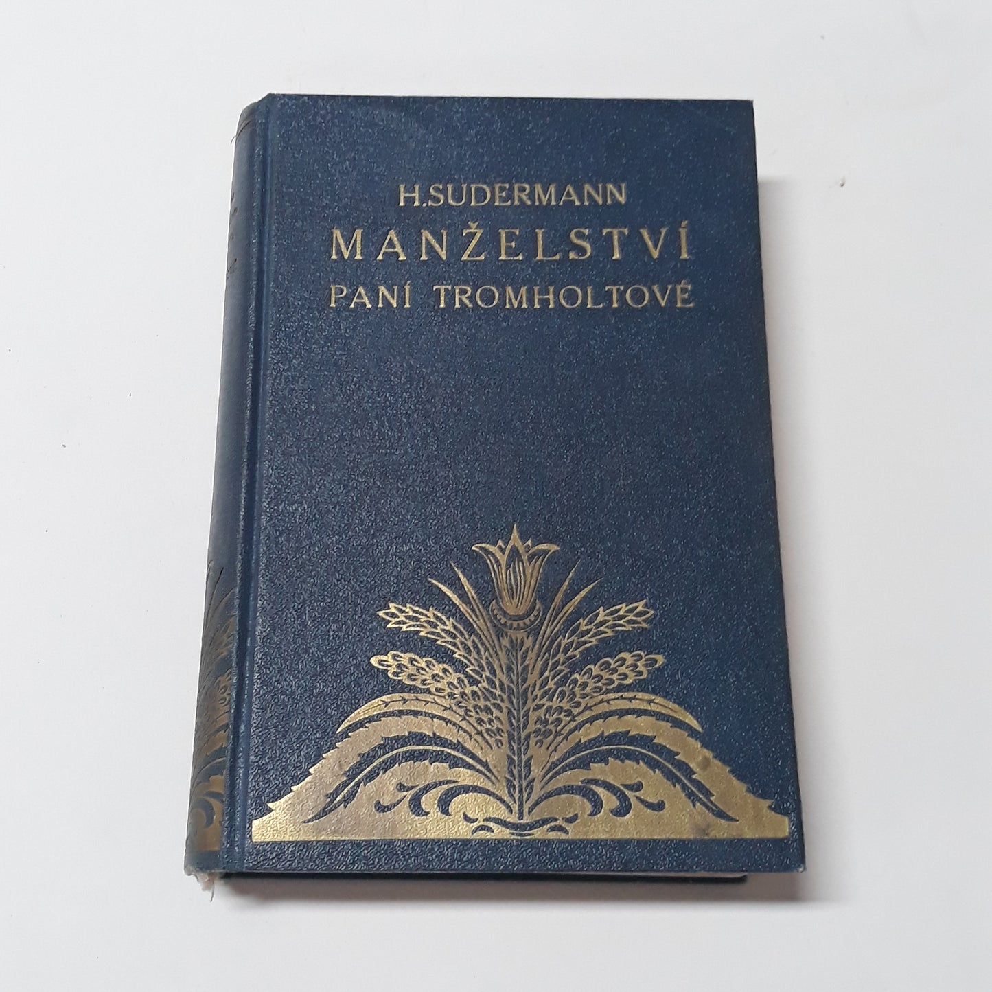 Manželství paní Tromholtové II