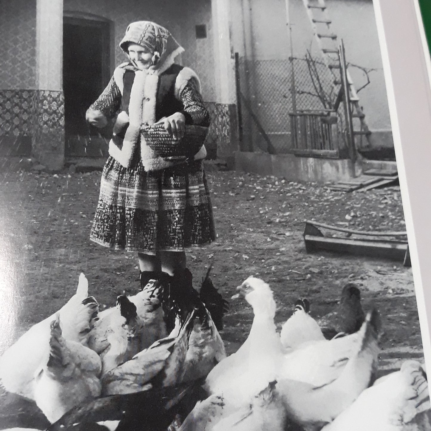 Od Tekova vietor veje