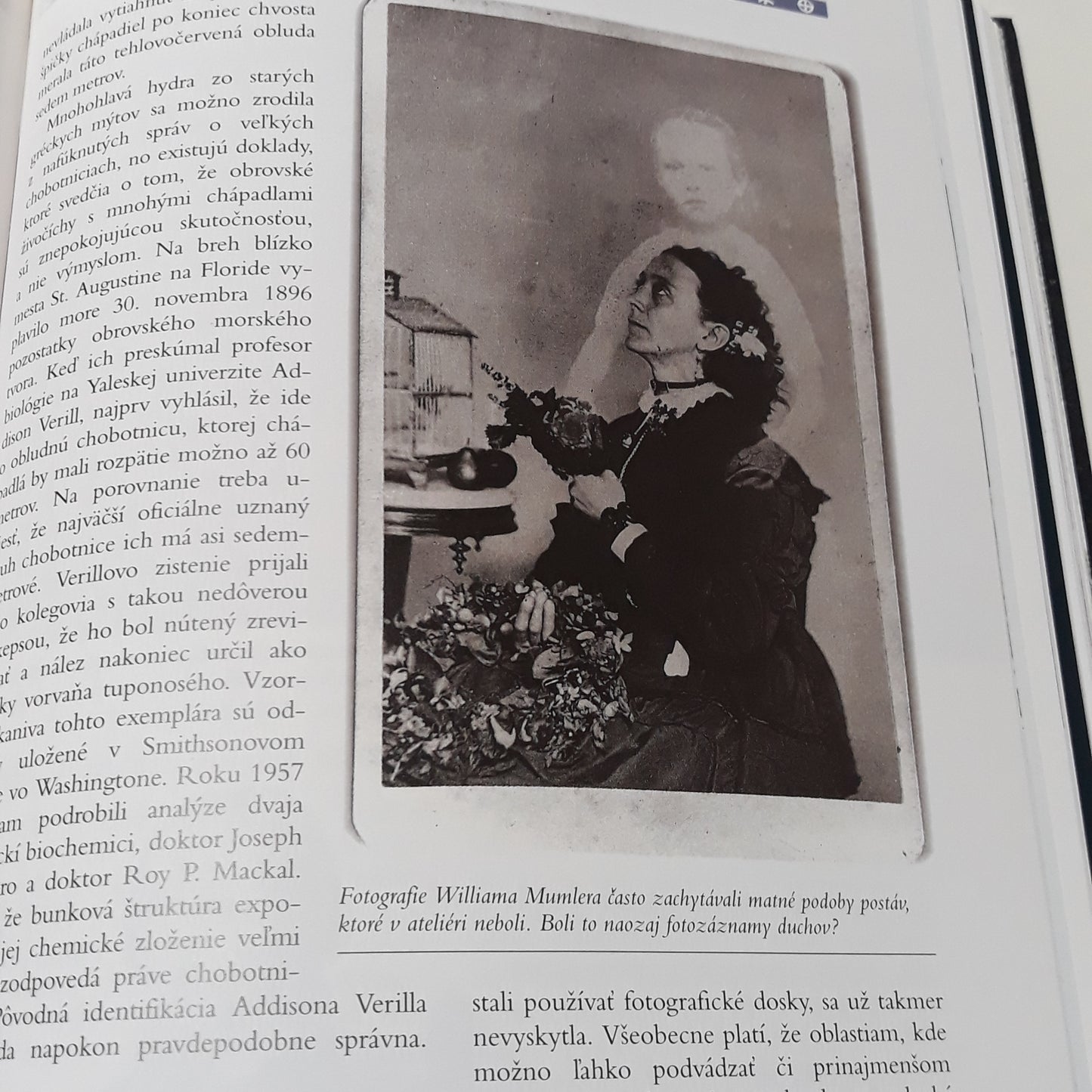 Almanach záhad