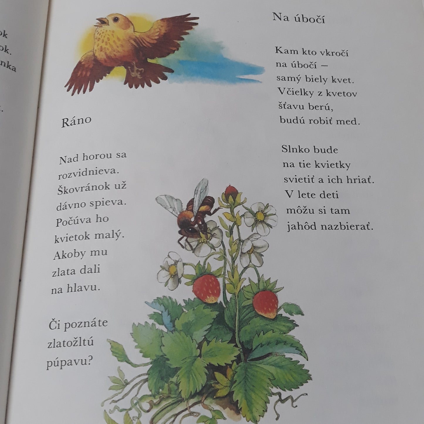 Klásky