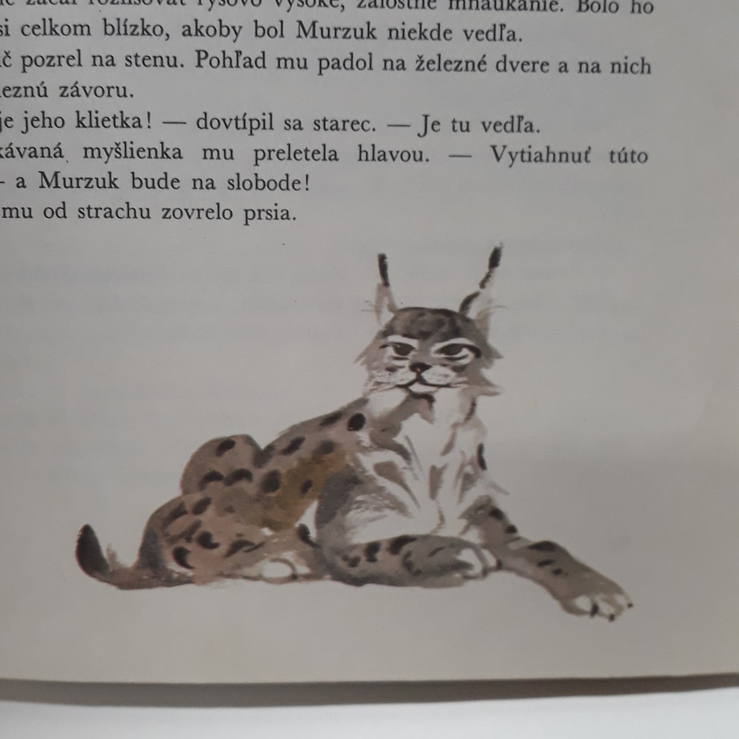 Na slobode a v nevoli