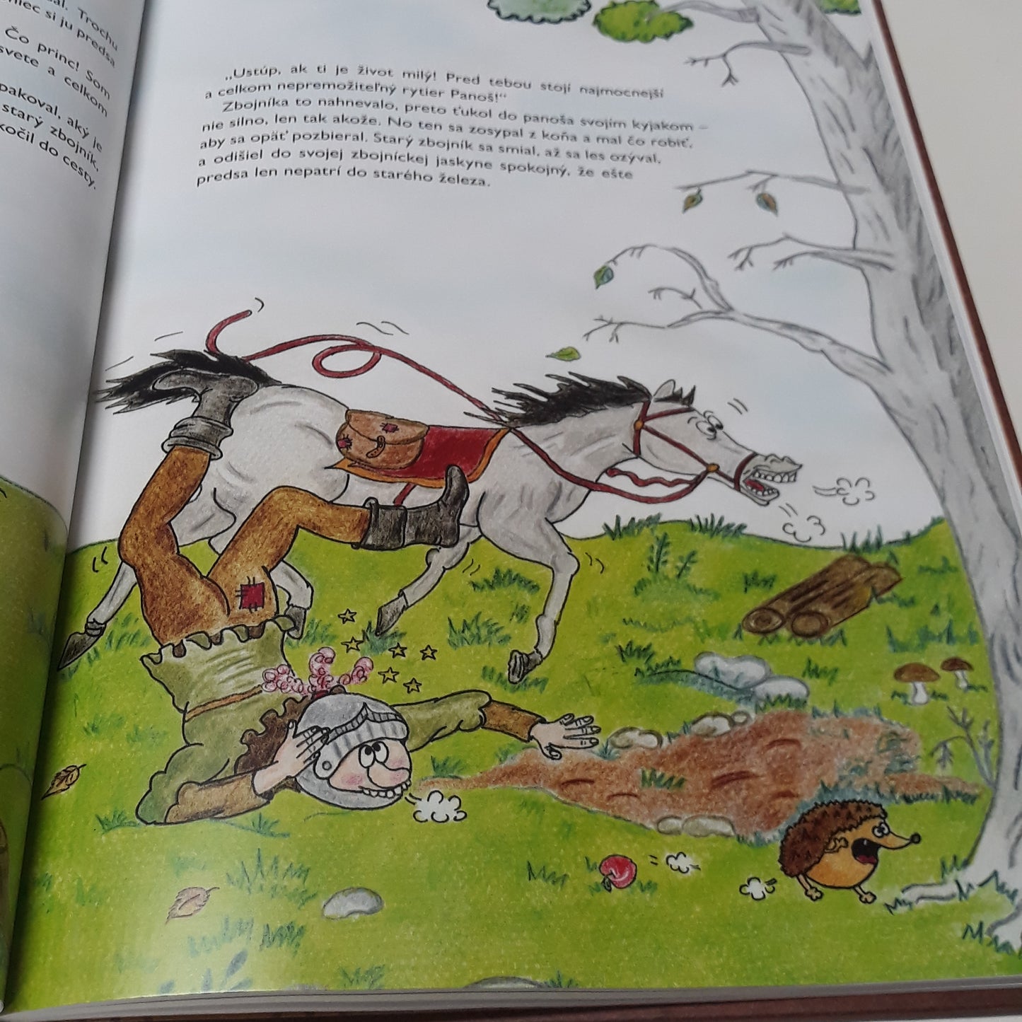 Rytierske rozprávky