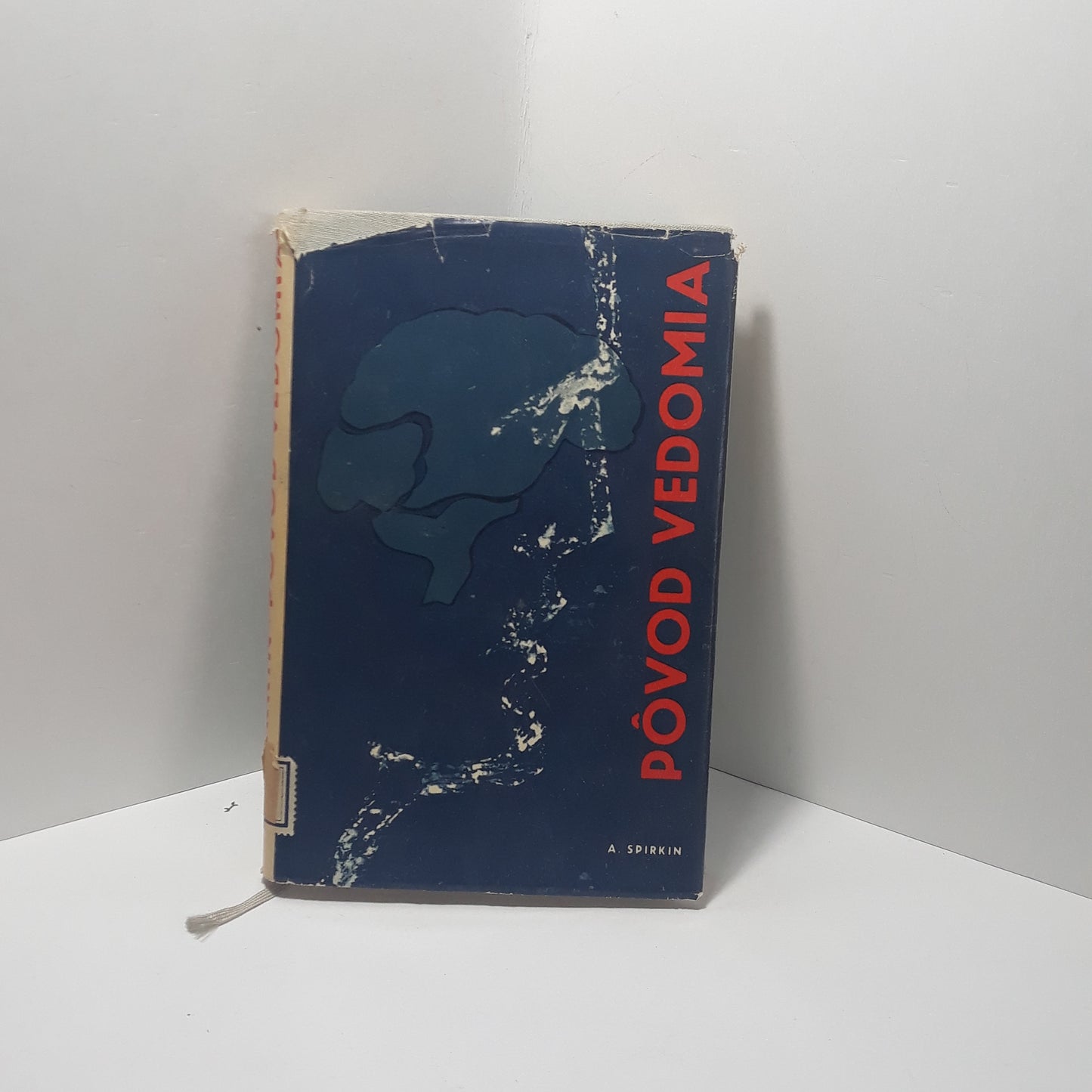 Pôvod vedomia