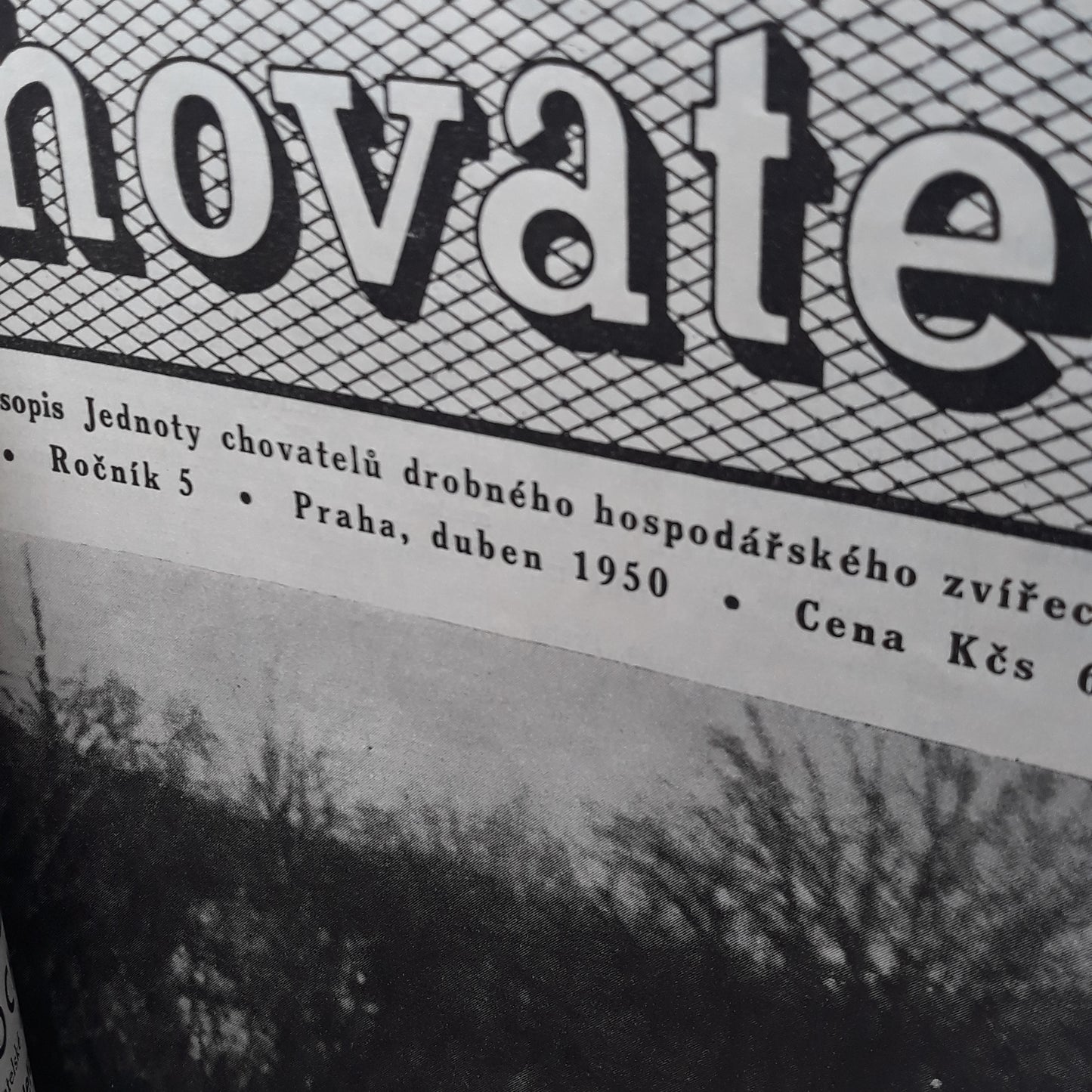 Chovatel 1950