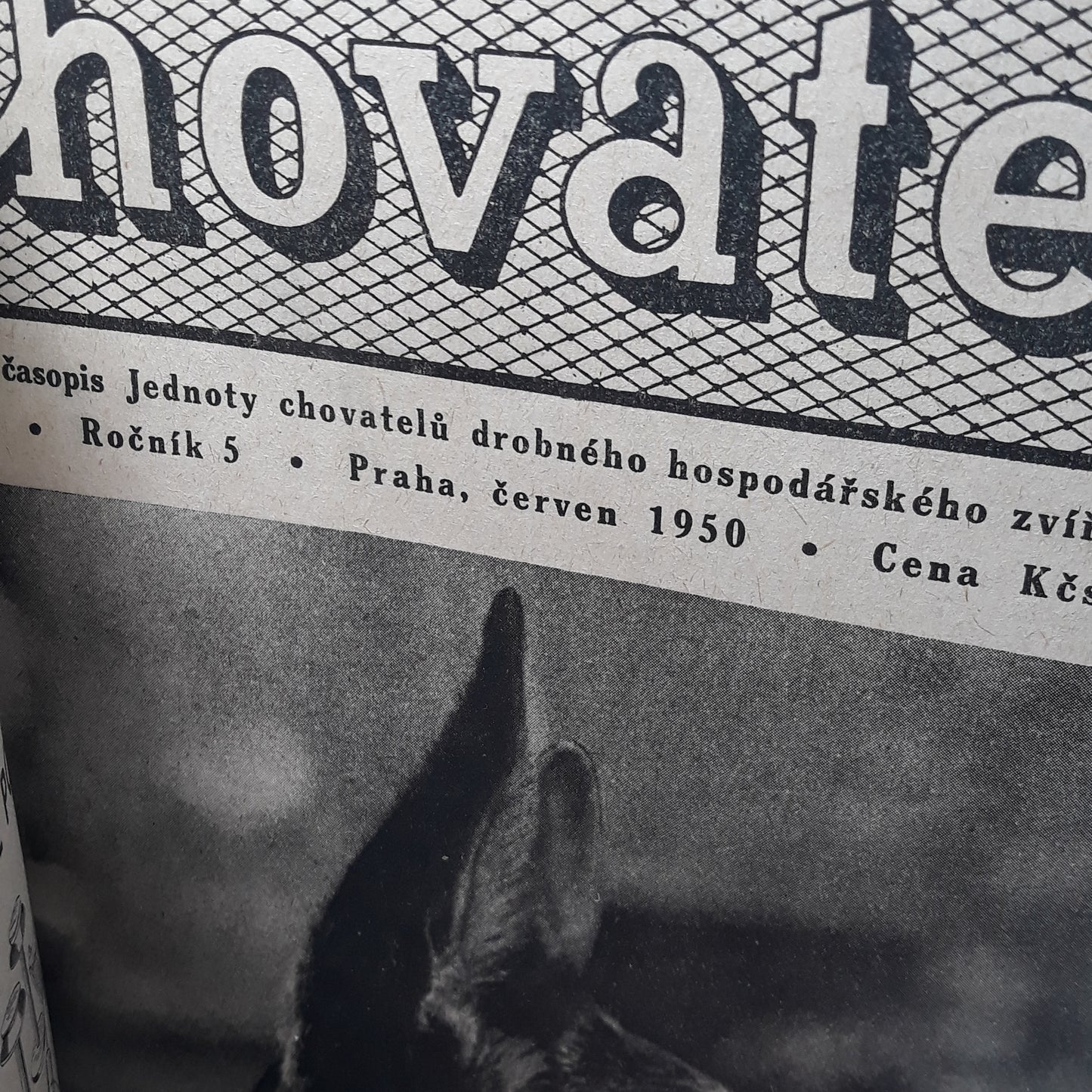 Chovatel 1950