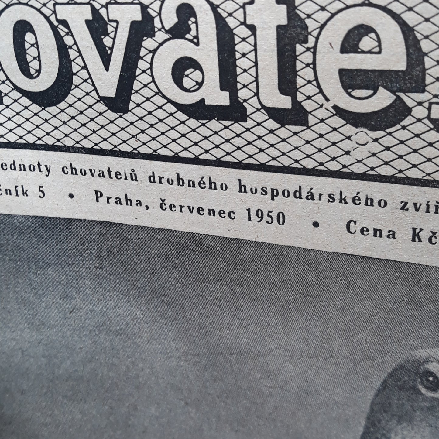 Chovatel 1950