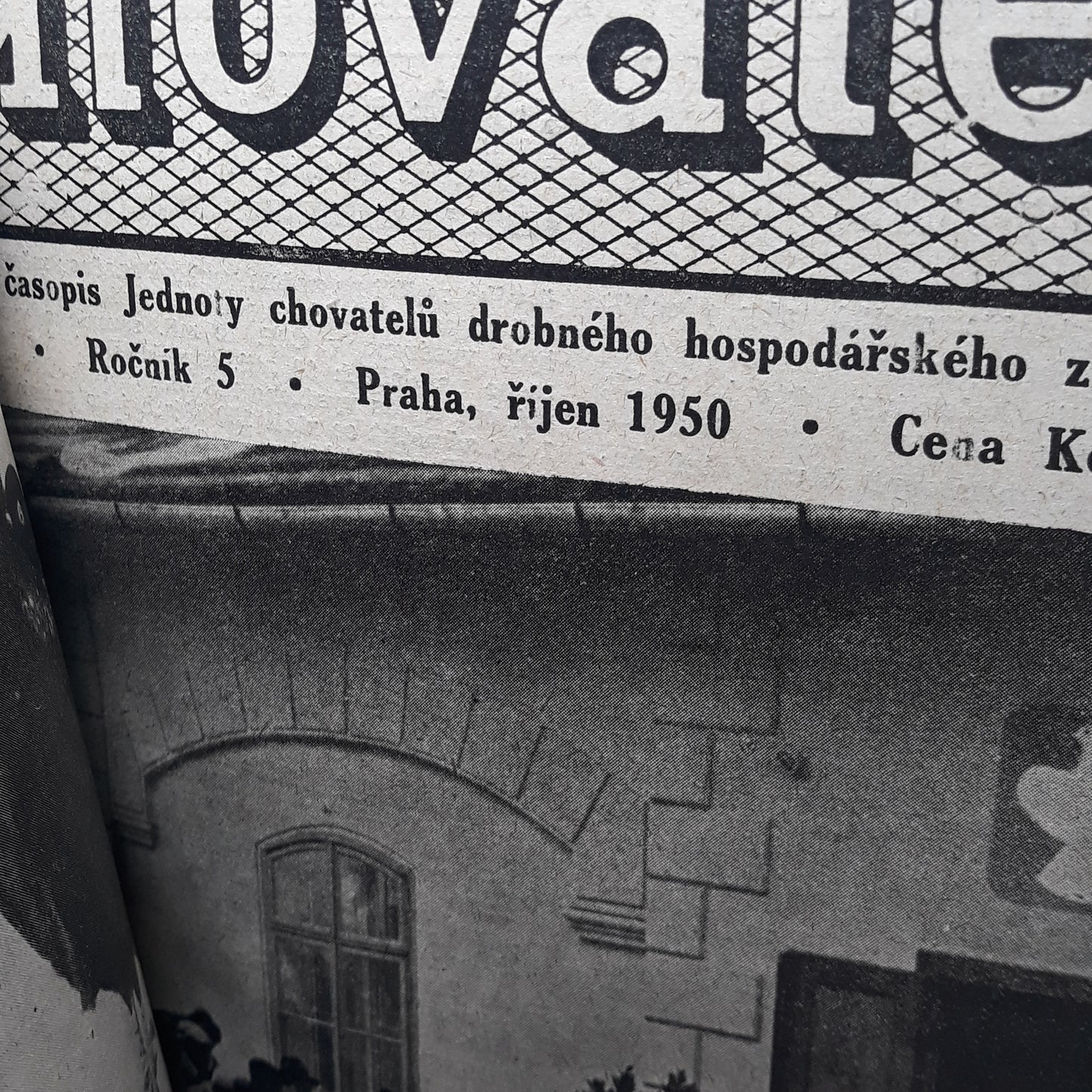 Chovatel 1950
