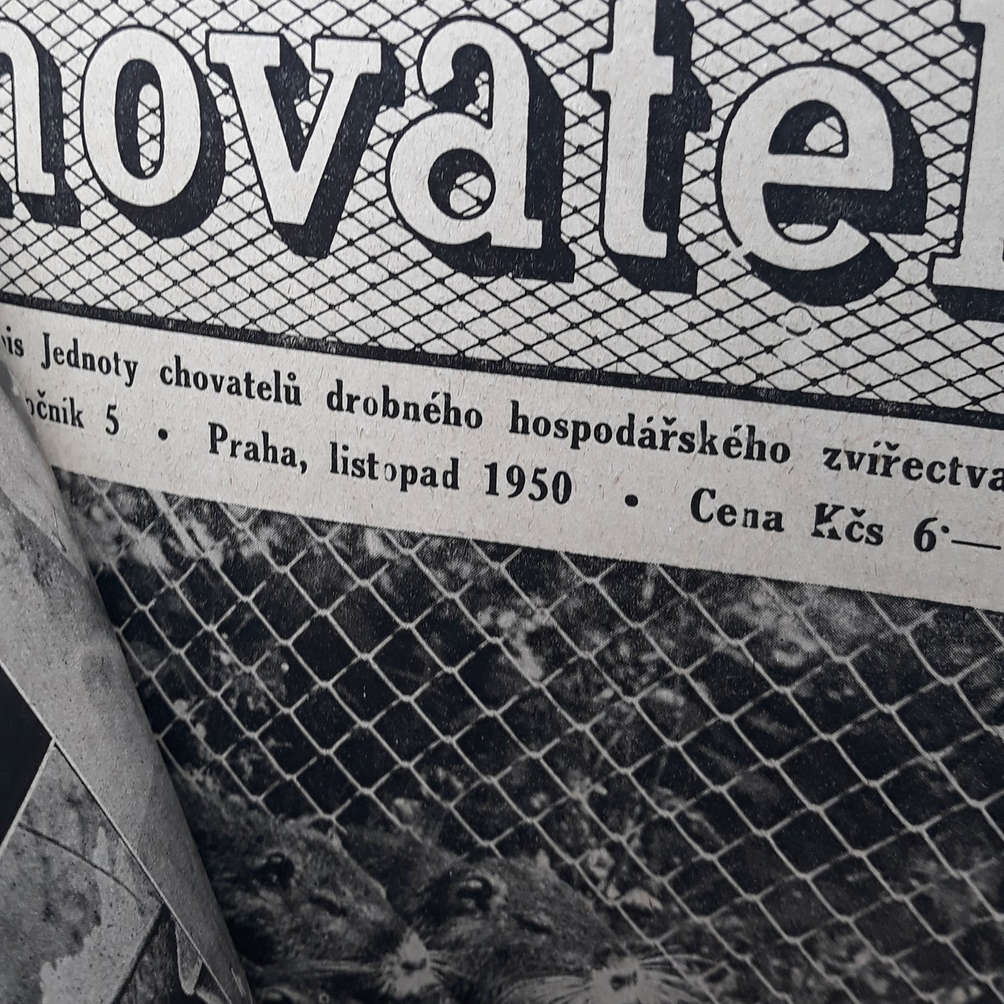 Chovatel 1950