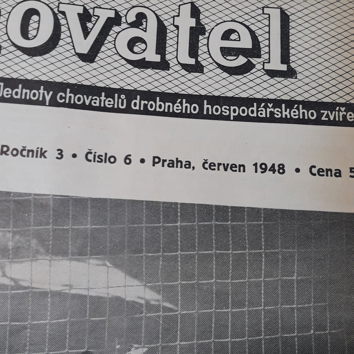 Chovatel 1948