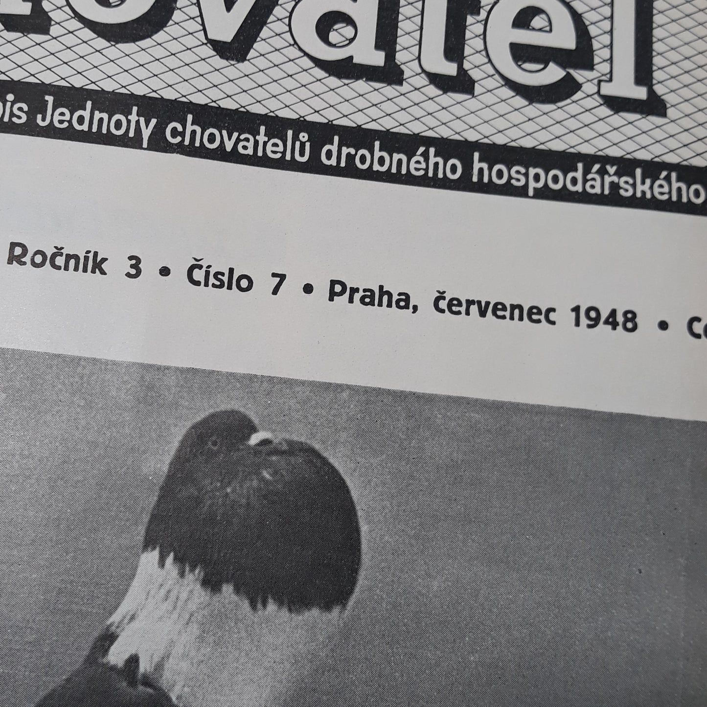 Chovatel 1948