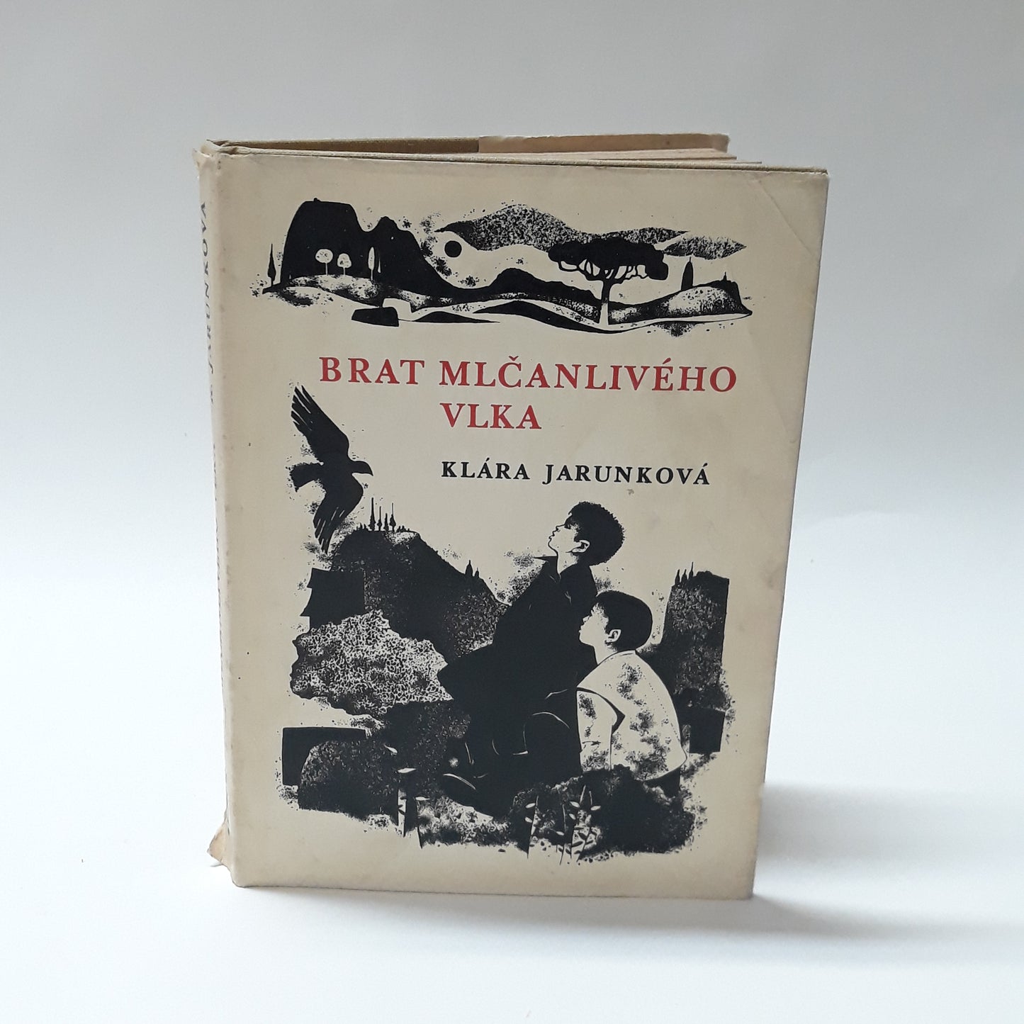 Brat mlčanlivého vlka