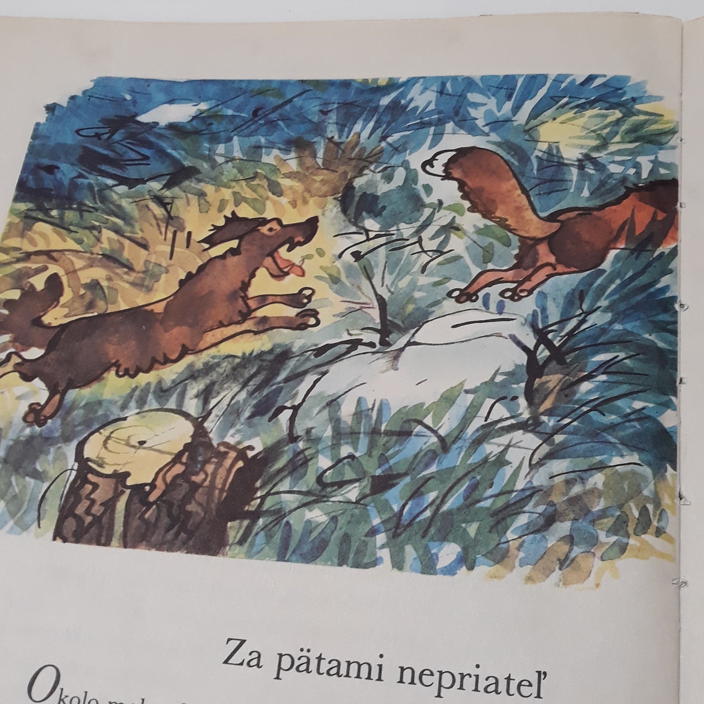 Lišiak Šibal