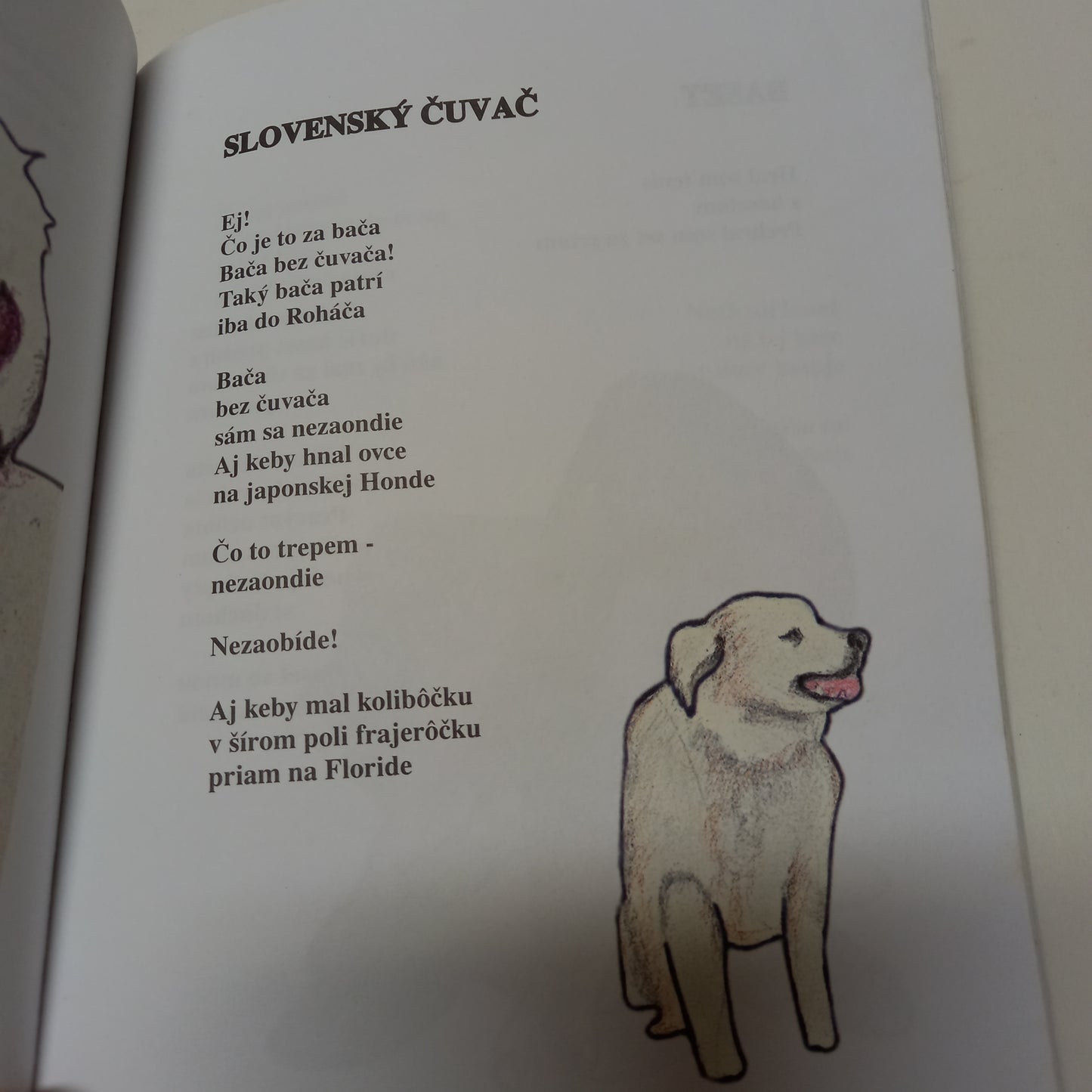 Básničky zo psiny