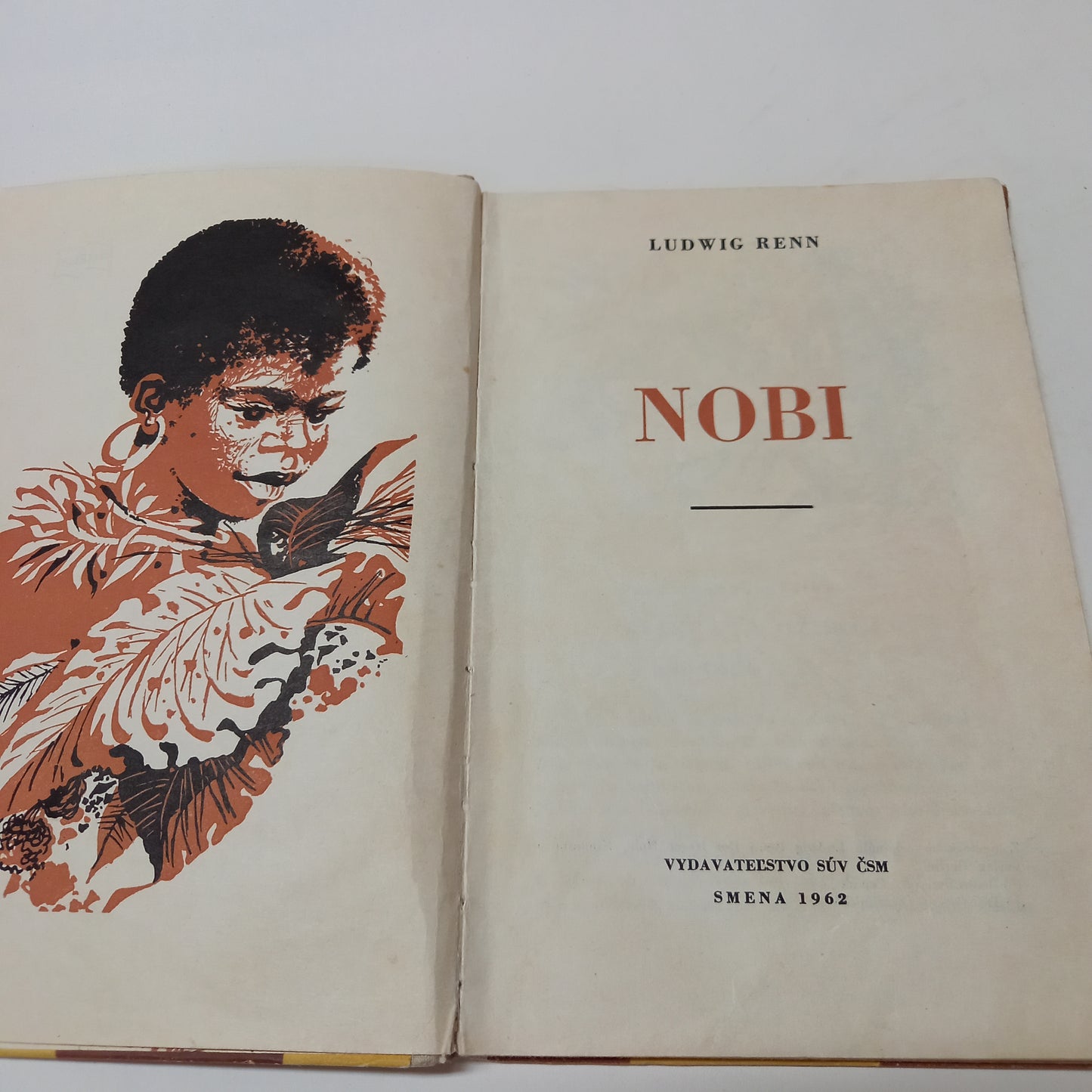 Nobi
