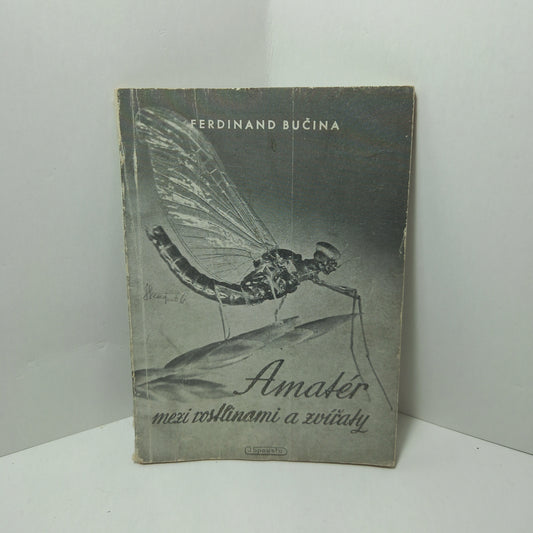 Amatér mezi rostlinami a zvířaty