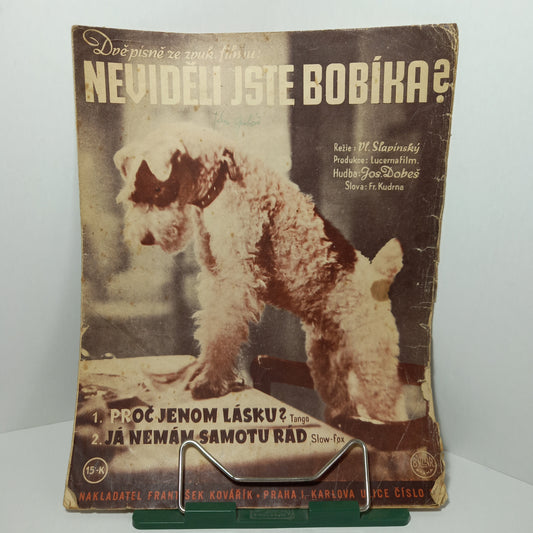 Proč jenom lásku?- Já nemám samotu rád