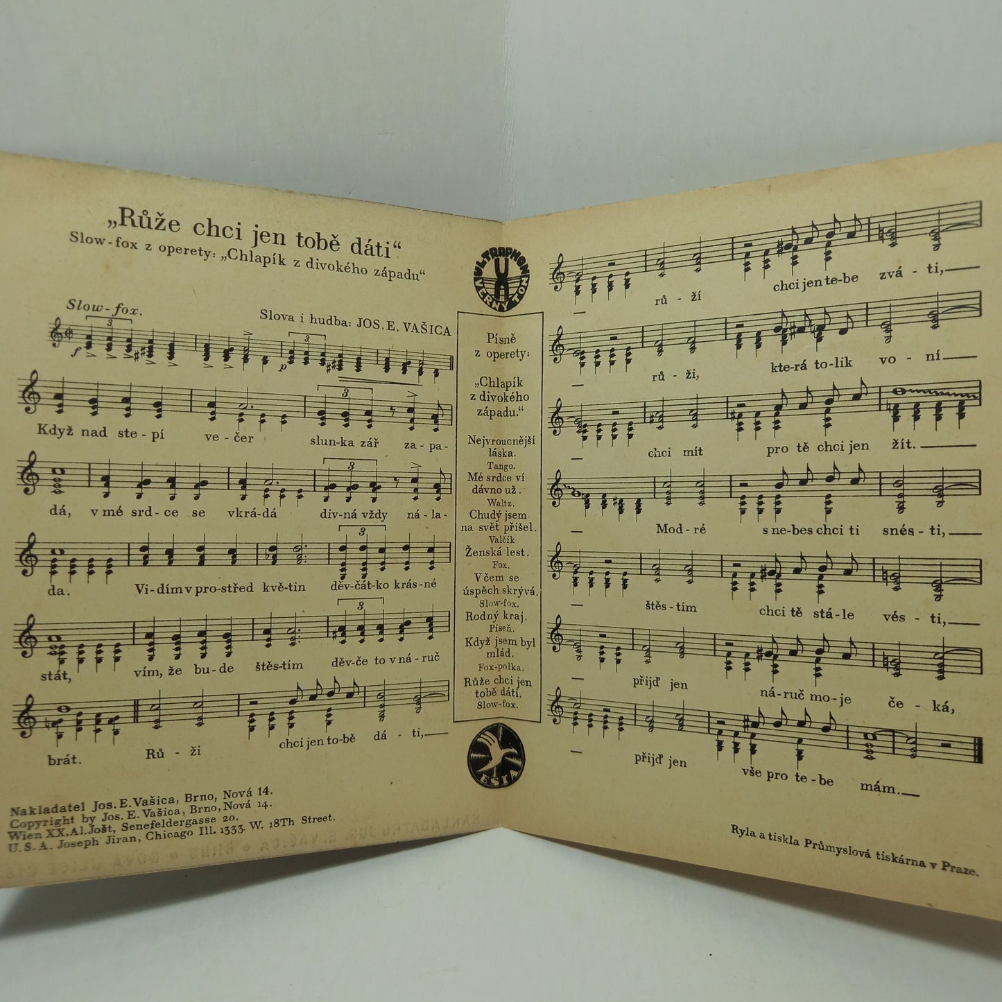 Růže chci jen tobě dát