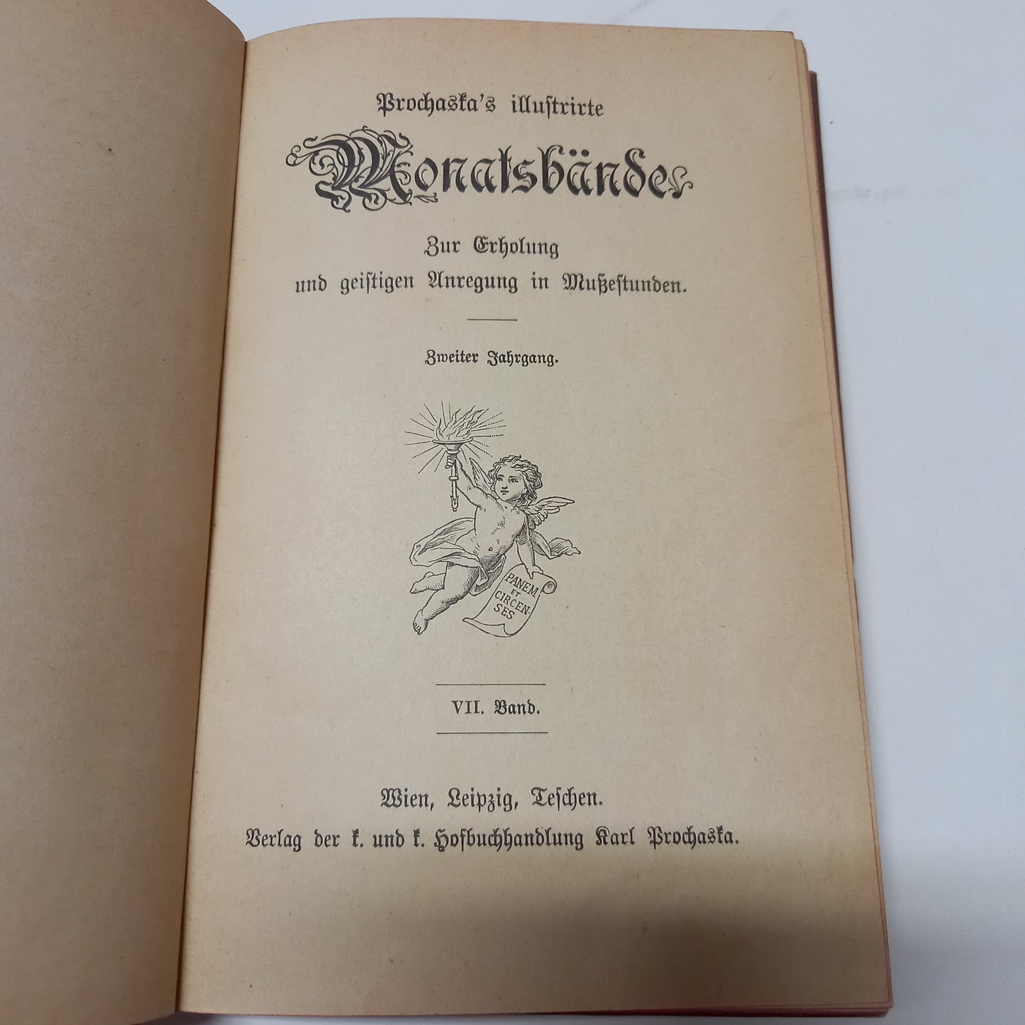 Prochaska's Illustrirte Monats Bände VII