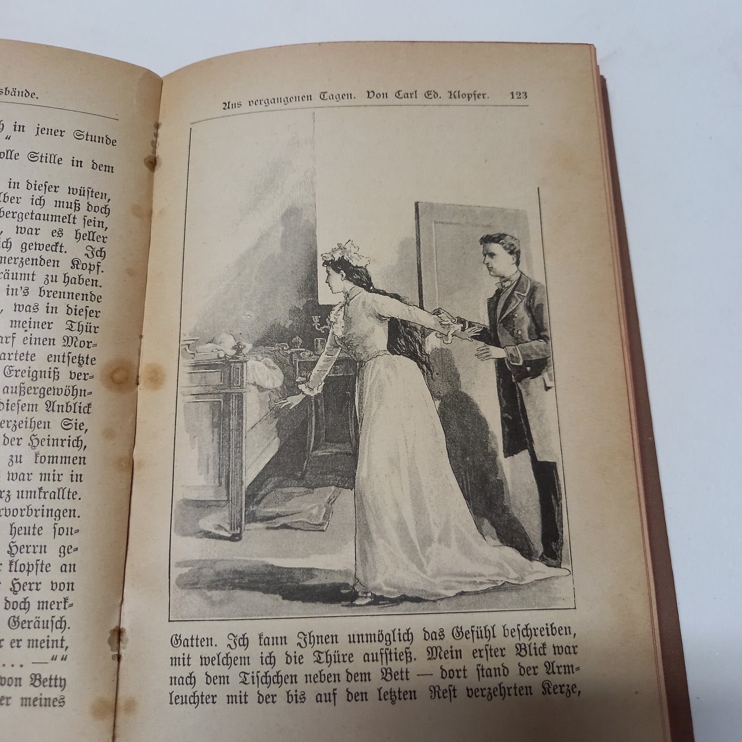 Prochaska's Illustrirte Monats Bände IV