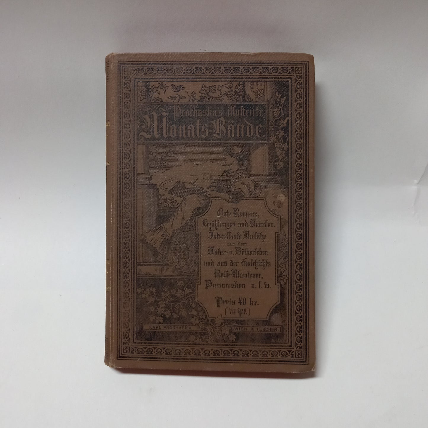 Prochaska's Illustrirte Monats Bände VI