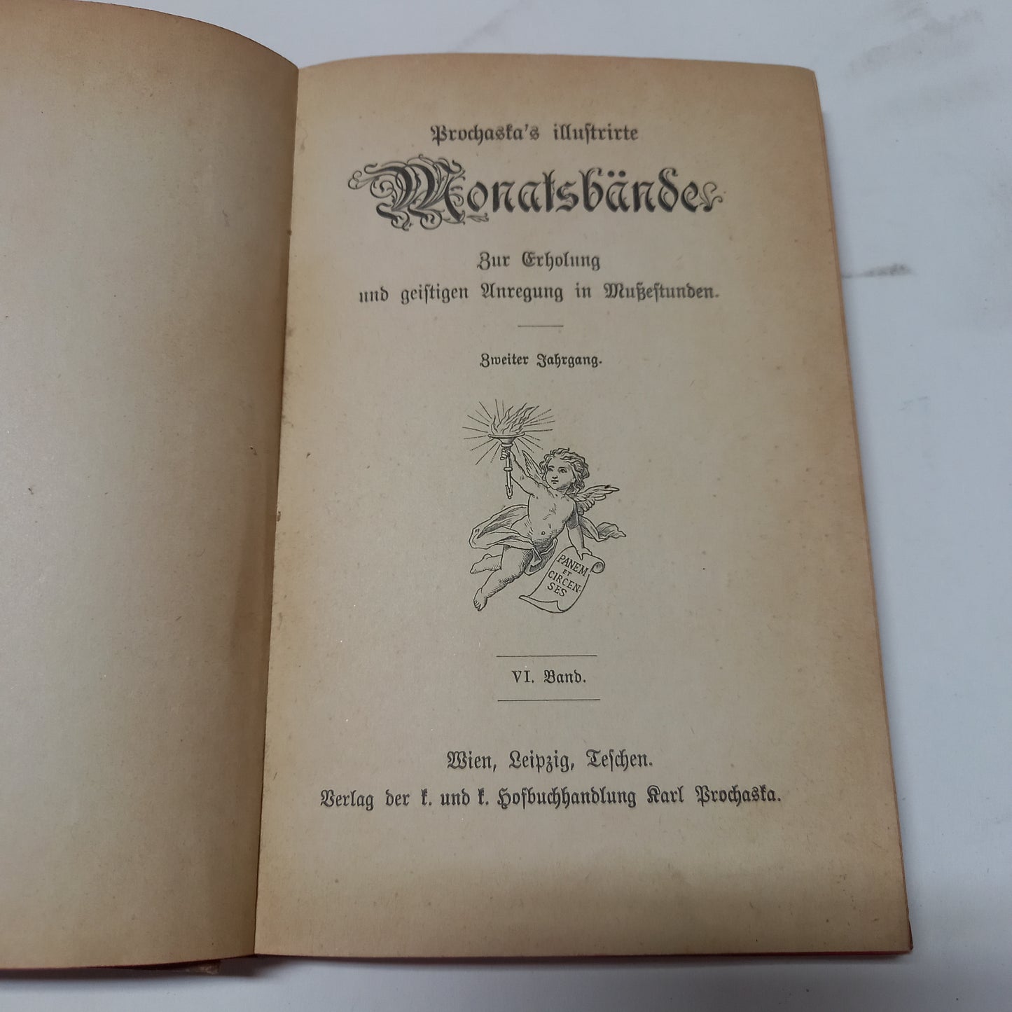 Prochaska's Illustrirte Monats Bände VI