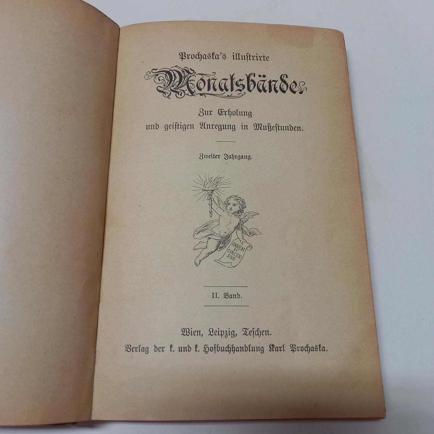Prochaska's Illustrirte Monats Bände II