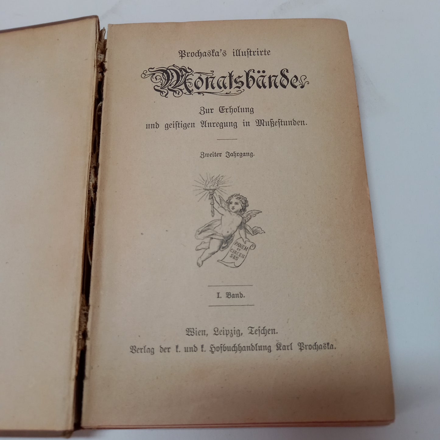 Prochaska's Illustrirte Monats Bände I