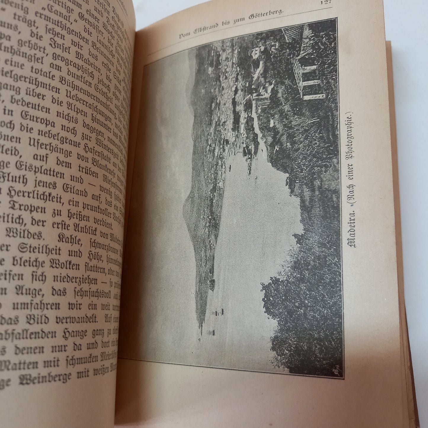 Prochaska's Illustrirte Monats Bände I