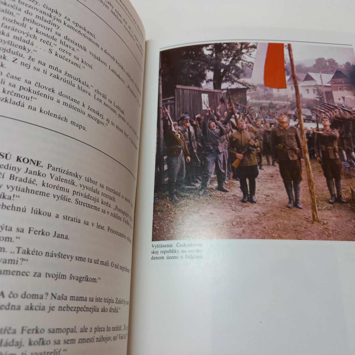 Povstalecká história