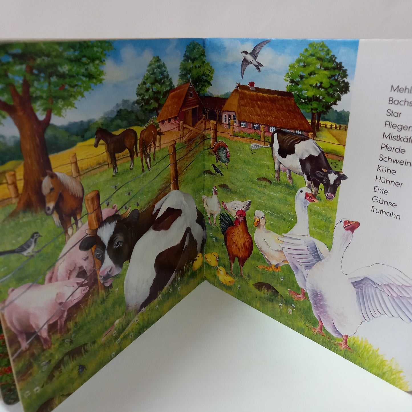 Welche Tiere kennst du schon?