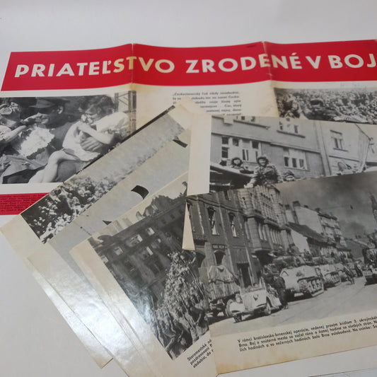 Priateľstvo zrodené v boji