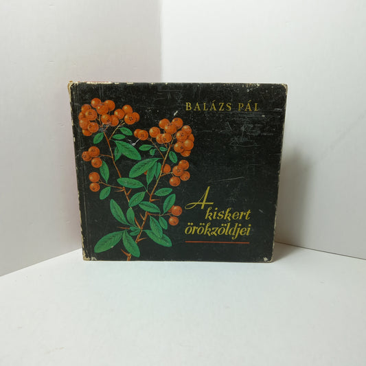 A kiskert örökzõldjei