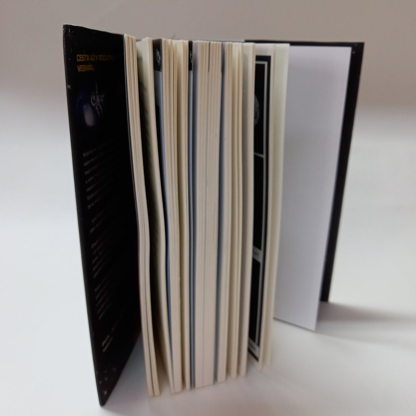 Gregor a veľký tresk