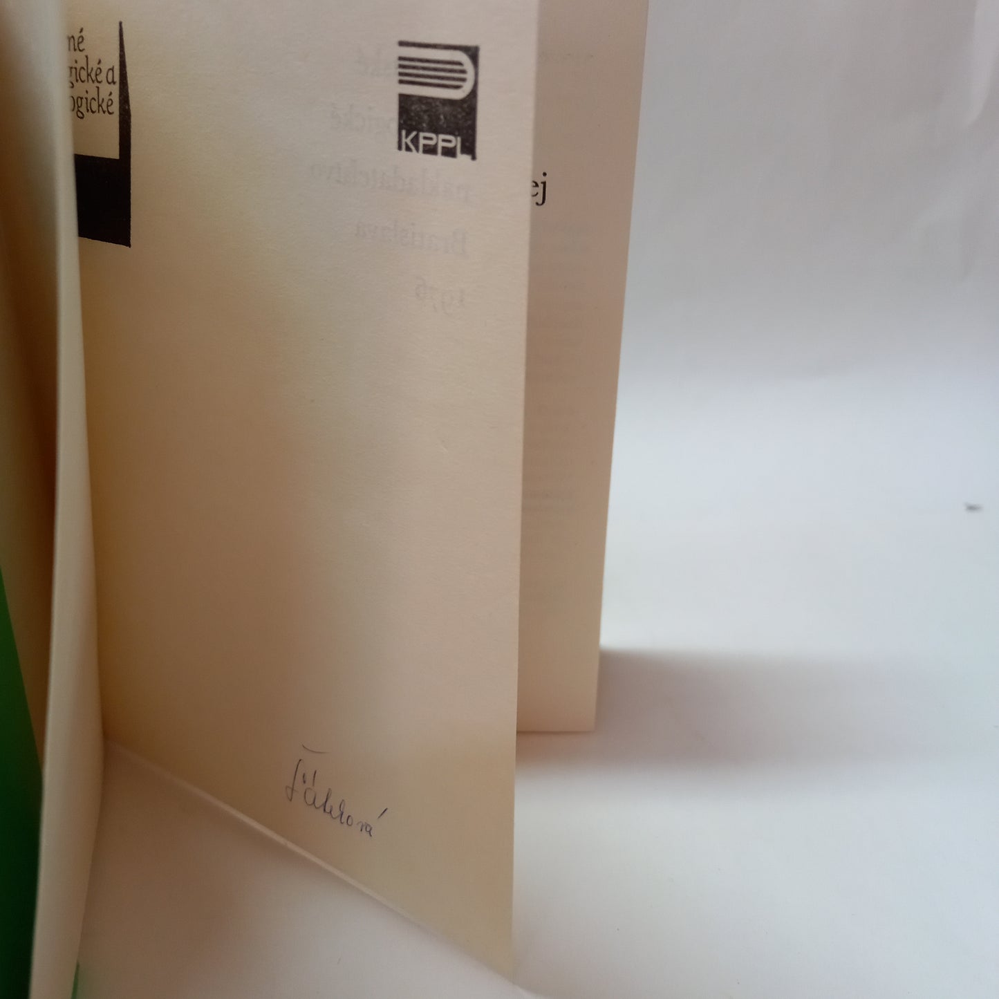 Námetové hry detí v rodine a v materskej škole