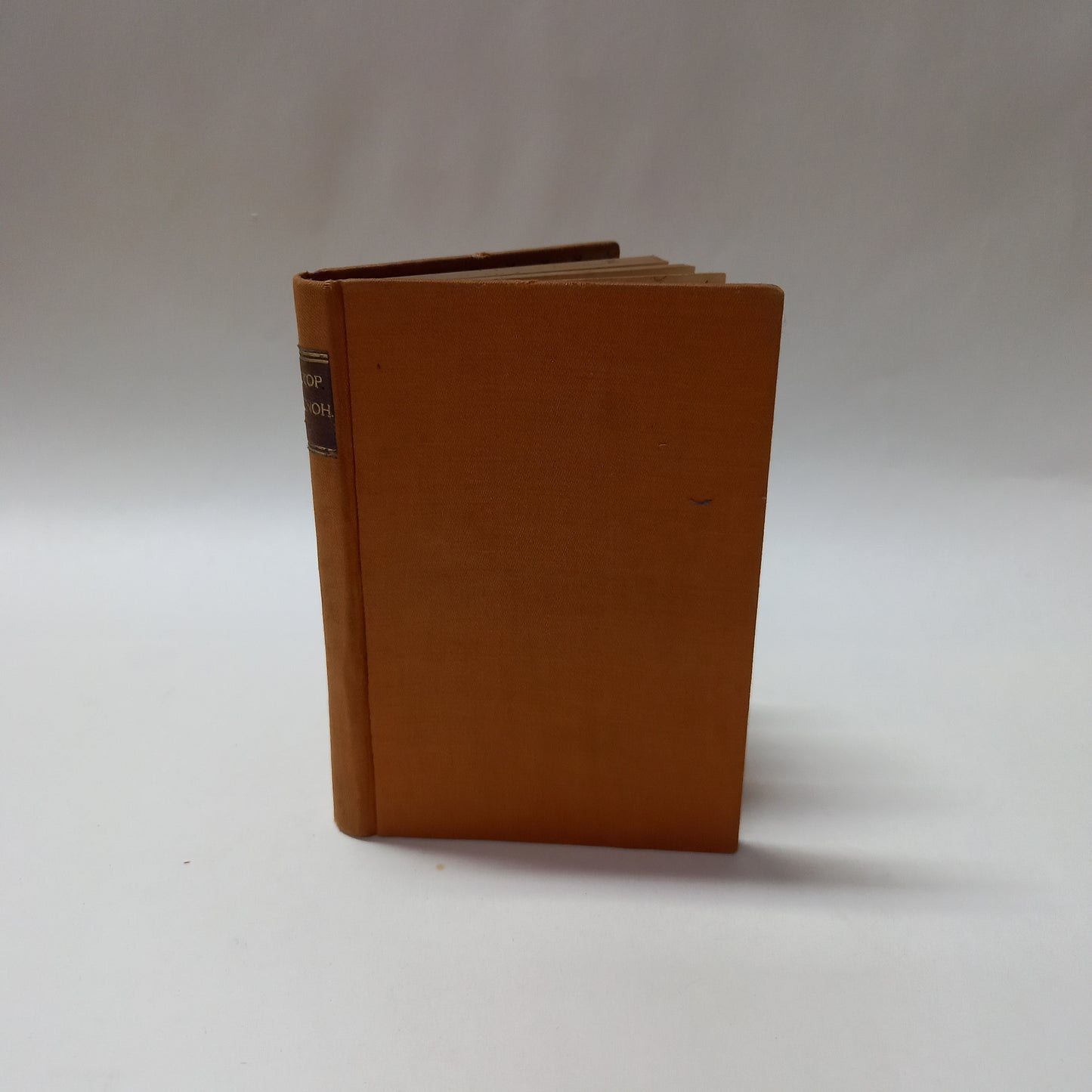 Rukopisové Zelenohorský a Kralodvorský