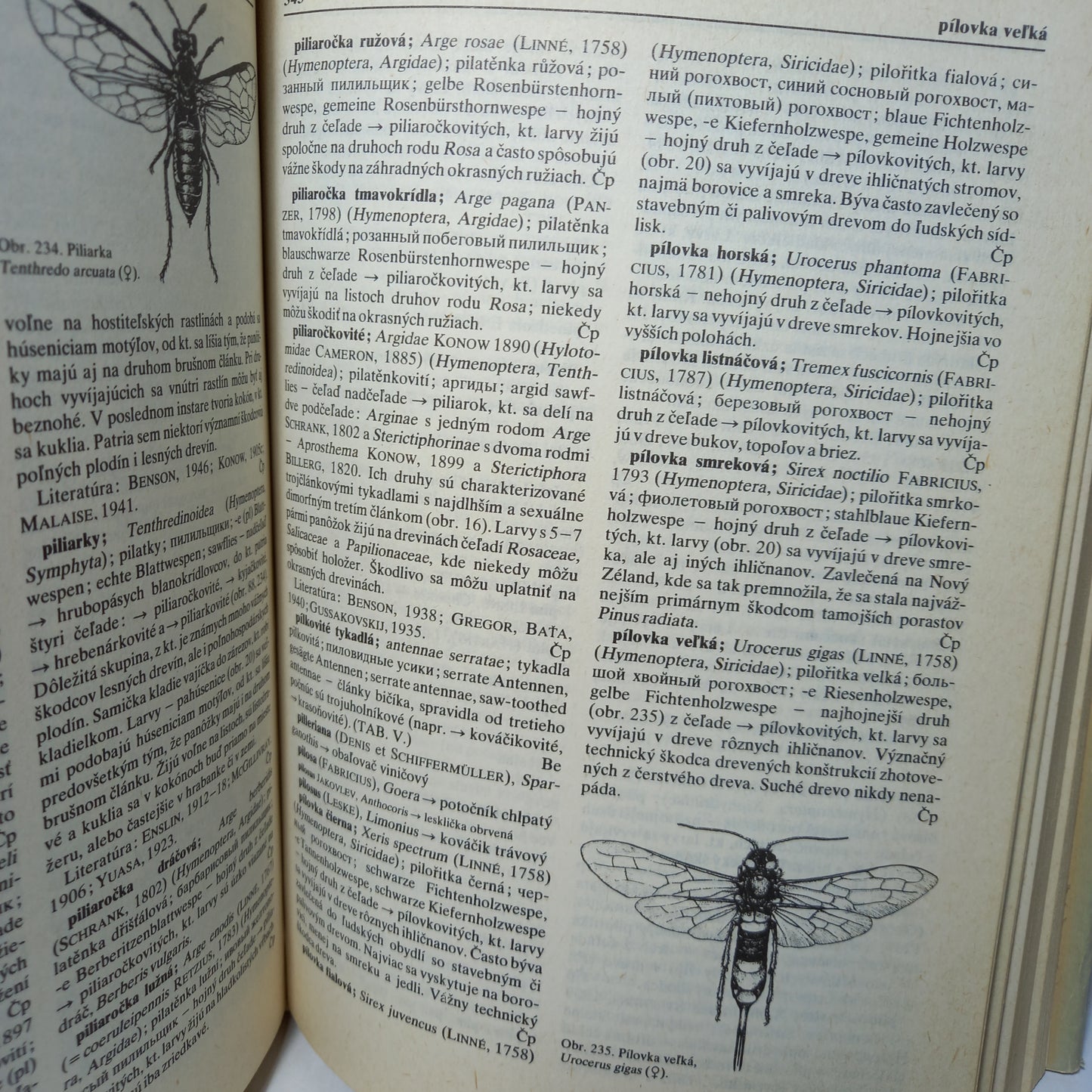 Entomologický náučný slovník